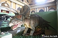 VBS_1060 - Dinosauri. Terra dei giganti